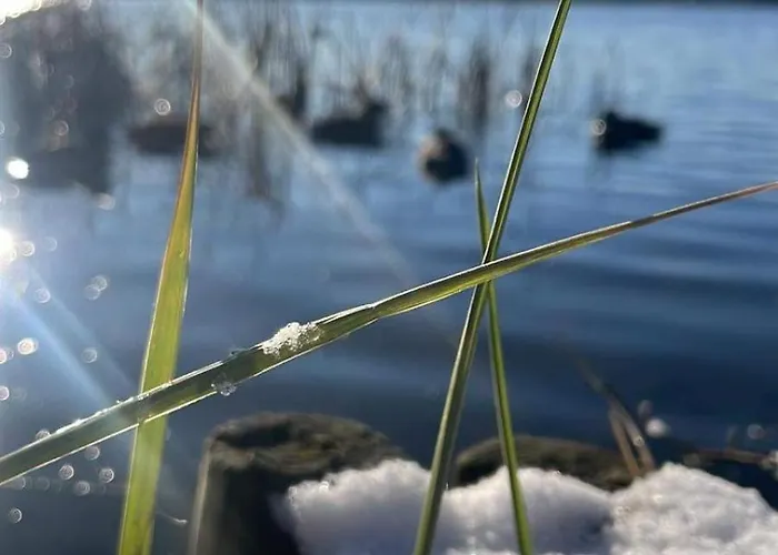 Szmaragdowy Nad Jeziorem Juno W Mrągowie Apartament *